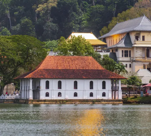 Sri Lanka Discovery Tour